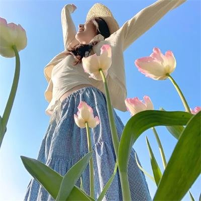 木星揭秘
